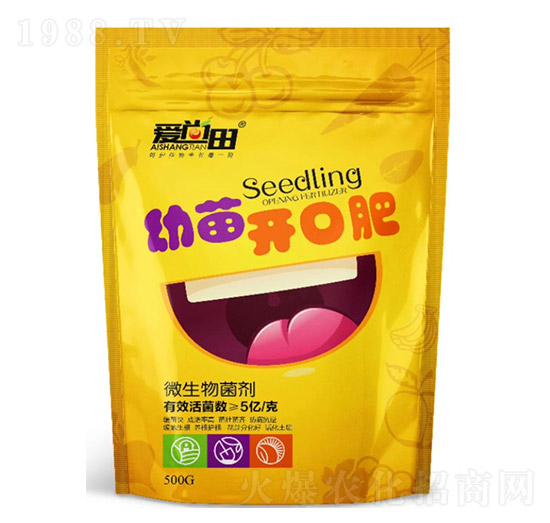 �����������_�ڷ�-�������