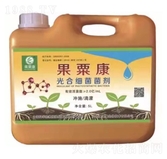 ��ϼ�������-���ڿ�