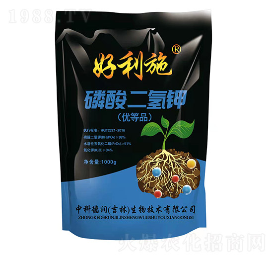 ��������-��(r��n)�ʘI(y��)