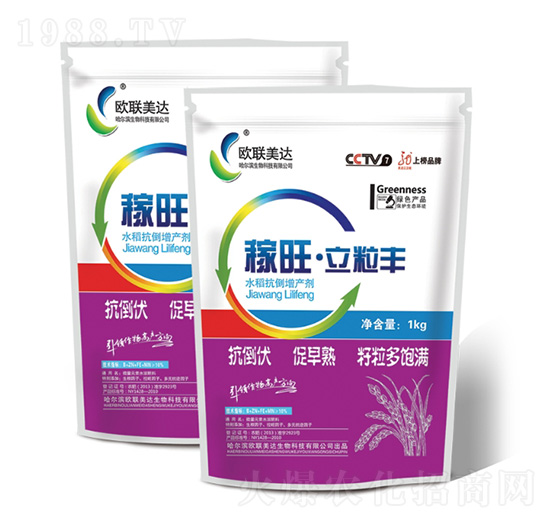 �����������S-�W(li��n)���_(d��)