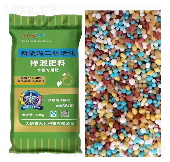 �������25-11-12-��|�r-�����Ƽ�