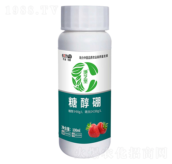 �Ǵ���-��֥��-������