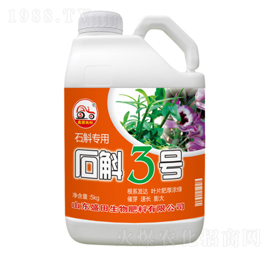 ʯ����(zhu��n)��-ʯ��3̖(h��o)-ʢ������