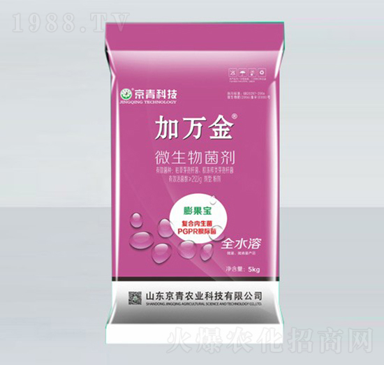 �����΢�������-���f��-����Ƽ�