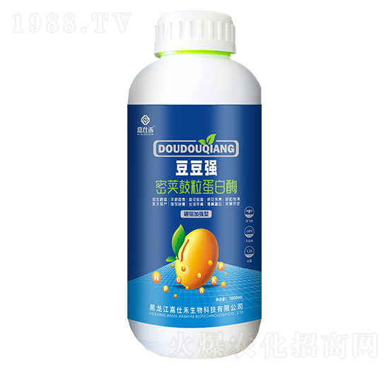 ���v��������ø-������-���˺�