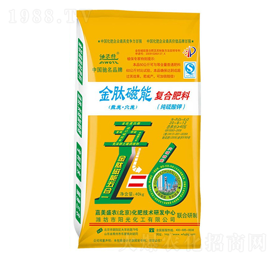 ���Ĵ��܏ͺϷ���20-8-12-������-ꖹ⻯��