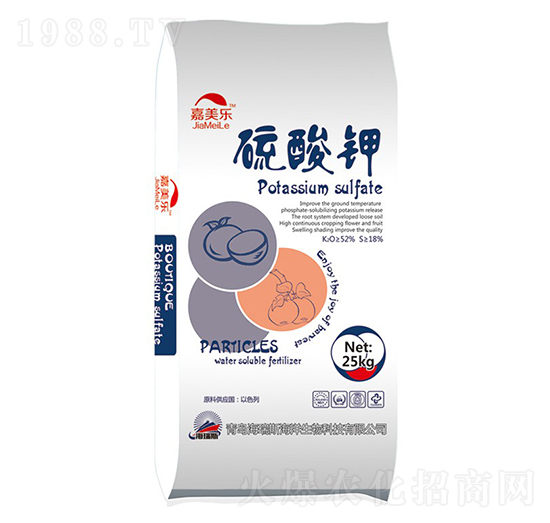 �����-������-����˹