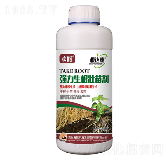 1000g�g�ܡ����_(d��)���������������焩-����˹