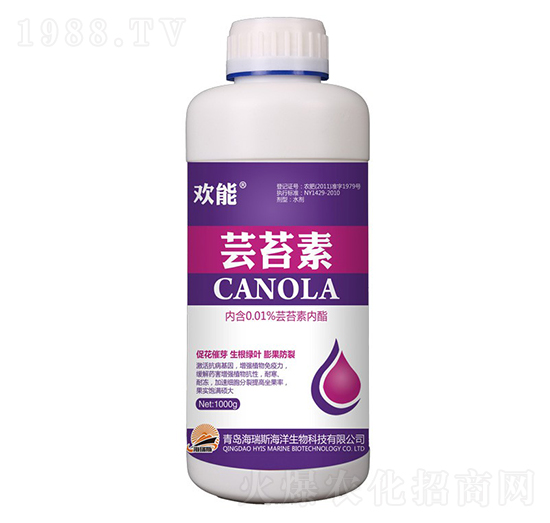 1000g�g�ܡ��|̦��-����˹