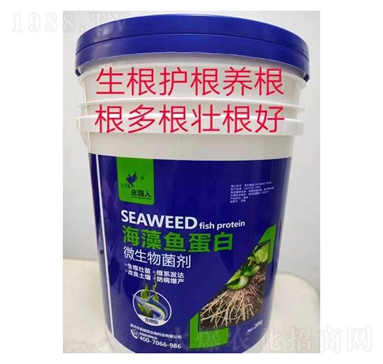 �����ͺ����~(y��)����΢�������-�f�@��-ϲ����