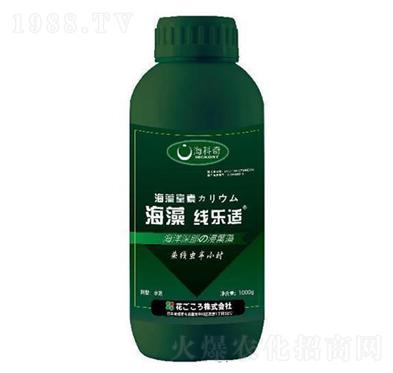 ���往���m-������