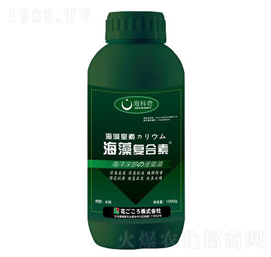 �����(f��)����-������