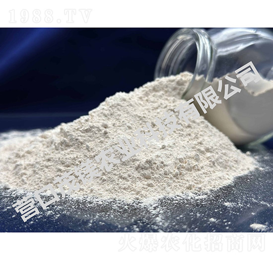 �����V-60-95��ĩ-ï�V�r(n��ng)�I(y��)