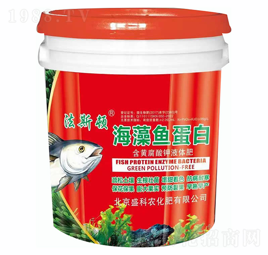 �����~����-ʢ���r