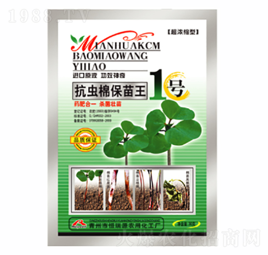 ���x�ޱ�����-������