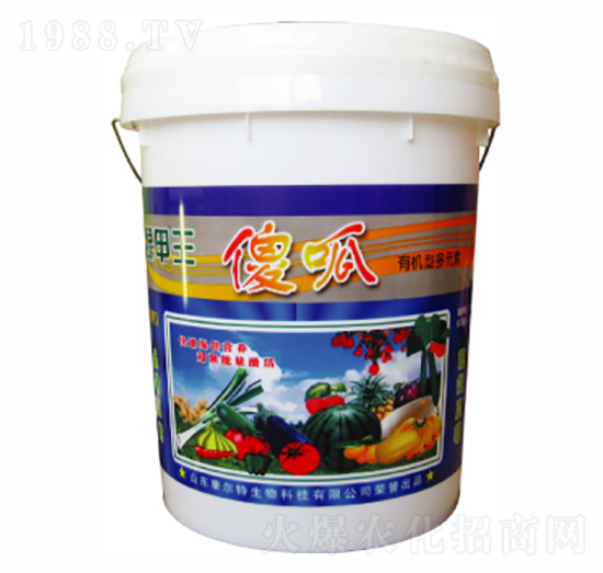 �ɣ��ι��ͣ�-������