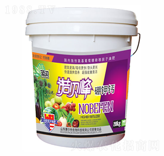 �Zؐ������}-������