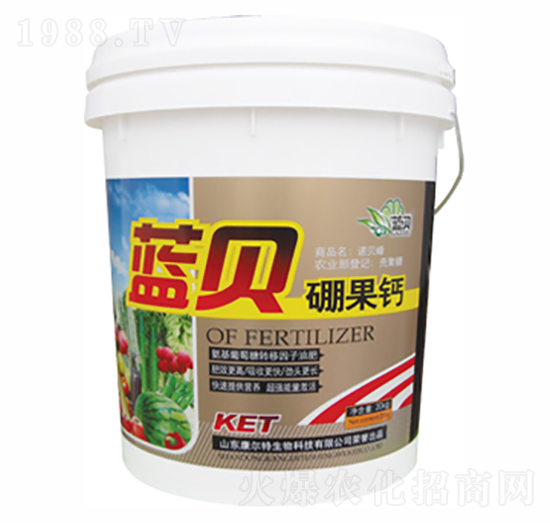 �{ؐ����}-������