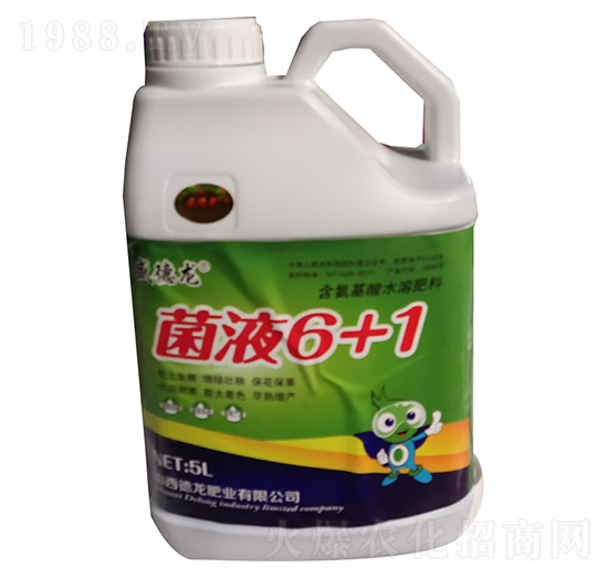 ��Һ6+1-������-�����ʘI(y��)