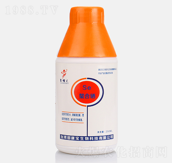 ΢��-���ϕ�-��ñ��-�￵��