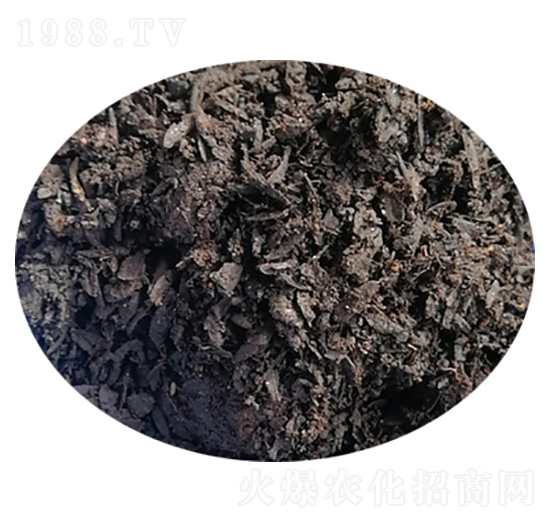 ��̿Ҭ����H-����