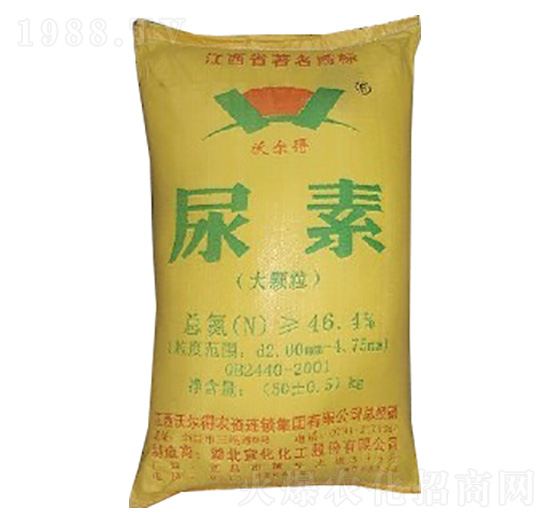 ���w������-�֠���