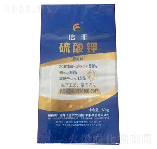 �w���������-���S�r�I(y��)