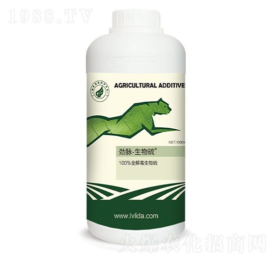 ������-���}�����-�G���_(d��)