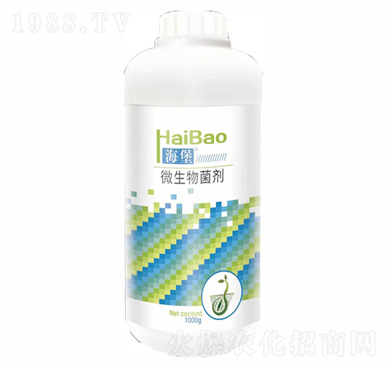 ����΢�������-������