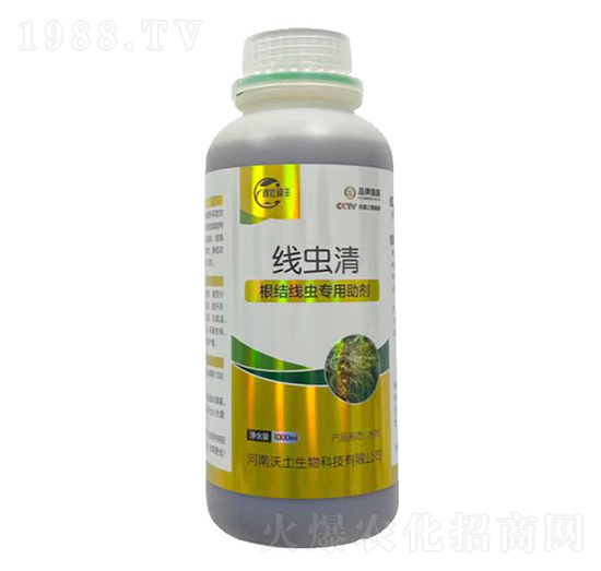 ���Y���x��������-���x��-�ډѴT�S-��������