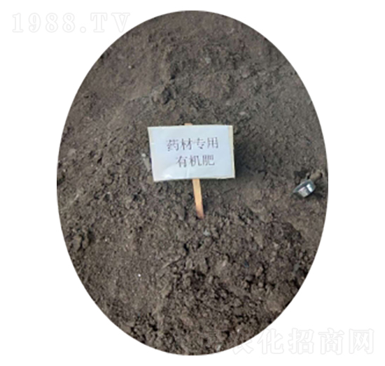 ˎ�Č����ЙC��-�r(n��ng)��ʘI(y��)