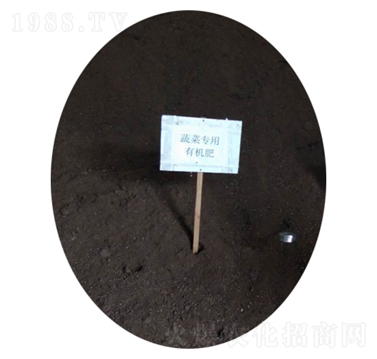 �߲ˌ����ЙC��-�r��ʘI(y��)