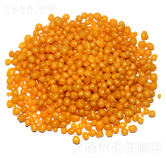 ��֬���¶��@���w����18-46-0-ïʩ�r(n��ng)�I(y��)