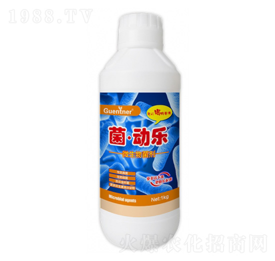 ΢�������-�����Ә�-���v����