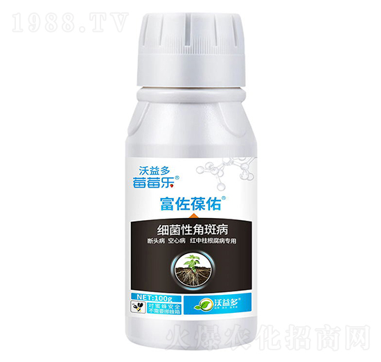 100�˼�(x��)���Խǰ߲�-��������-ݮݮ��-�����