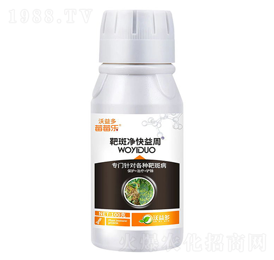 �а߃�������-ݮݮ��-�����