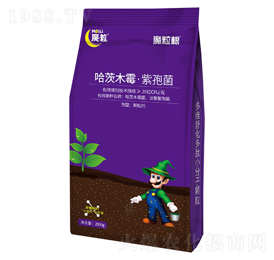 ����ľù�����߾�-ħ����-ħ������