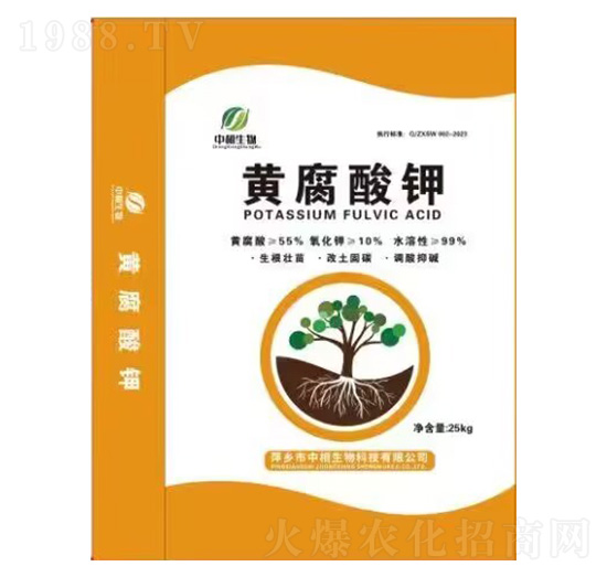 �S�����-��������