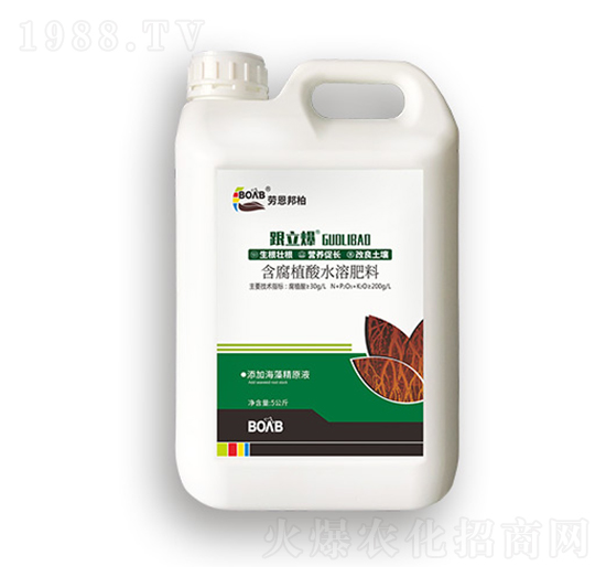 ����ֲ��ˮ�ܷ���-������-�ڶ����