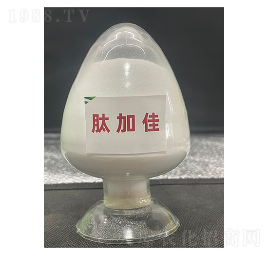 �ļӼ�-��������