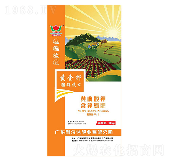 �S����⛺��\����-�S���-�����_�ʘI(y��)