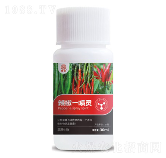 ����һ���`-��ï����