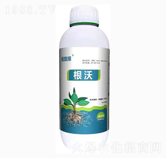 ����-�����-���SԴ