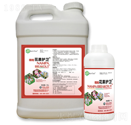 ��������o�l(w��i)-����