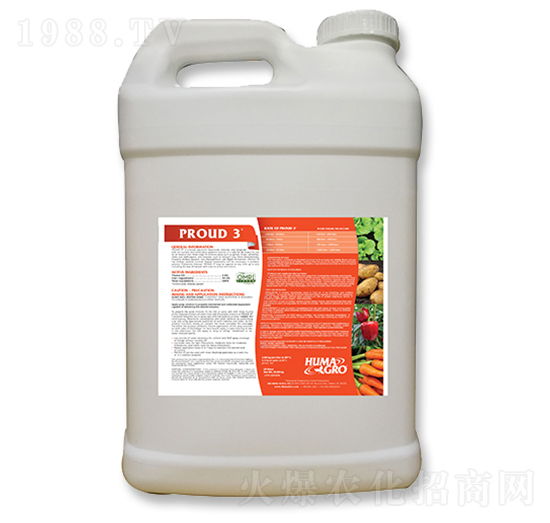 ���_����-����