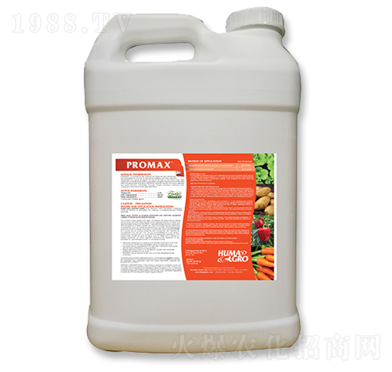 ���_�R˹-����