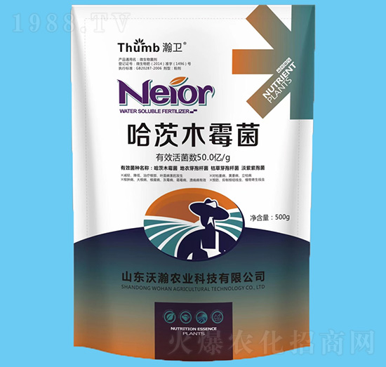 ����ľù����50�|�����-��l(w��i)-����r(n��ng)�I(y��)