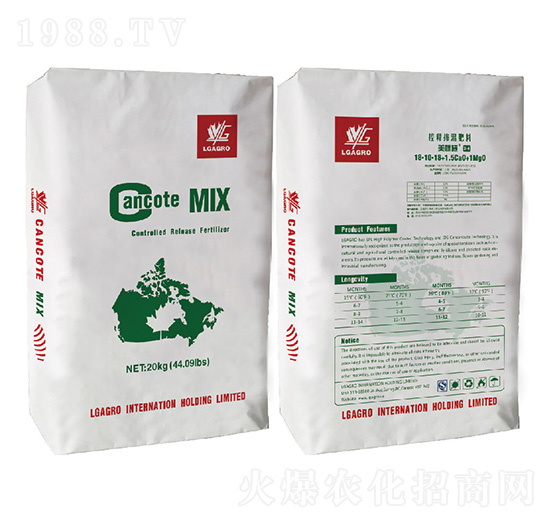 ��ጓ������-����ʩ-�����_