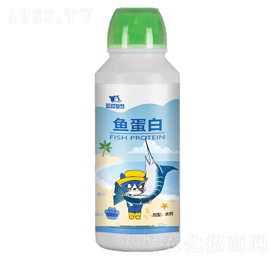 �~����-�{(l��n)؈�ǻ�