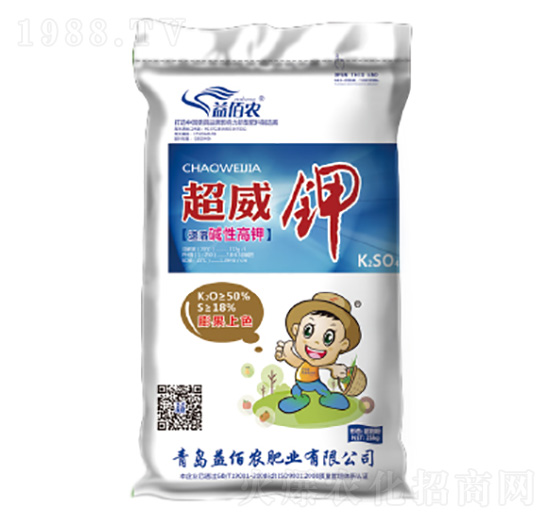 �A�Ը��-�����-����r�ʘI(y��)